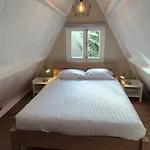 't Grote Egeltje Xl 220 * دربي
