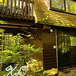 't Grote Egeltje Xl 220 Chalet
