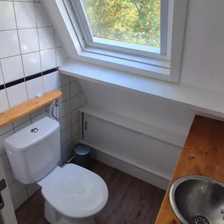 't Grote Egeltje Xl 220 *