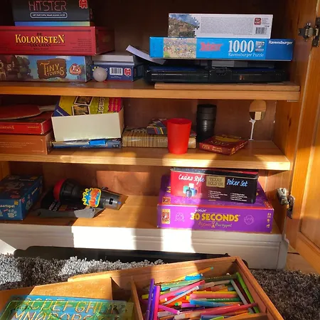 't Grote Egeltje Xl 220 * 더뷔