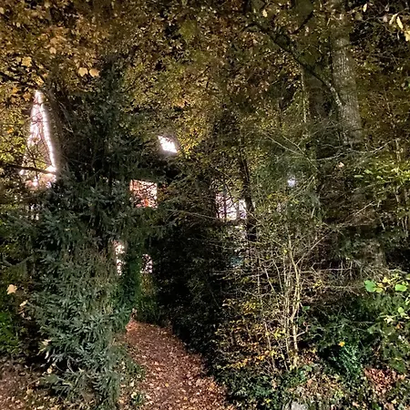 't Grote Egeltje Xl 220