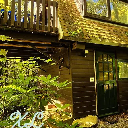 't Grote Egeltje Xl 220 Chalet