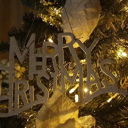 't Grote Egeltje Xl 220