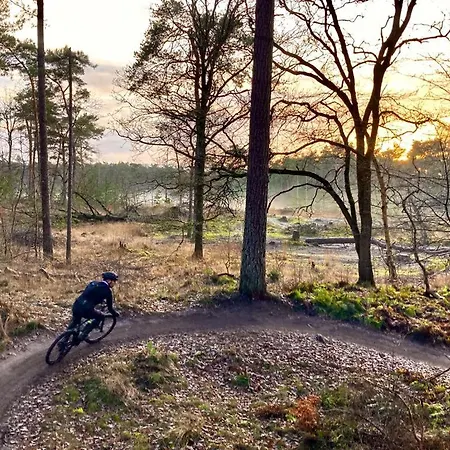 't Grote Egeltje Xl 220 * 더뷔