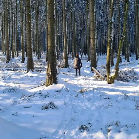 't Grote Egeltje Xl 220 * 더뷔