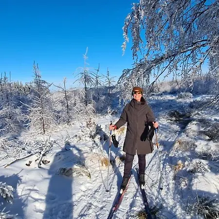 't Grote Egeltje Xl 220 샬레 더뷔