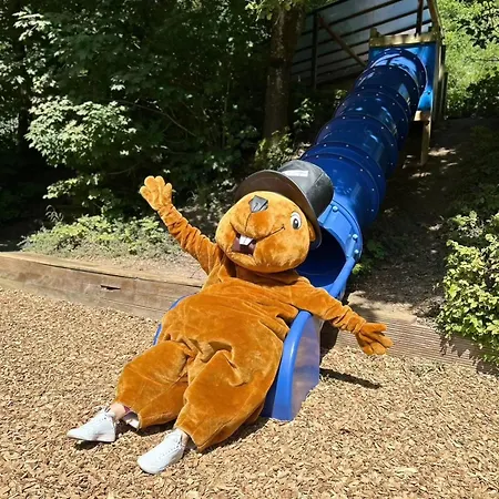 't Grote Egeltje Xl 220 샬레 *